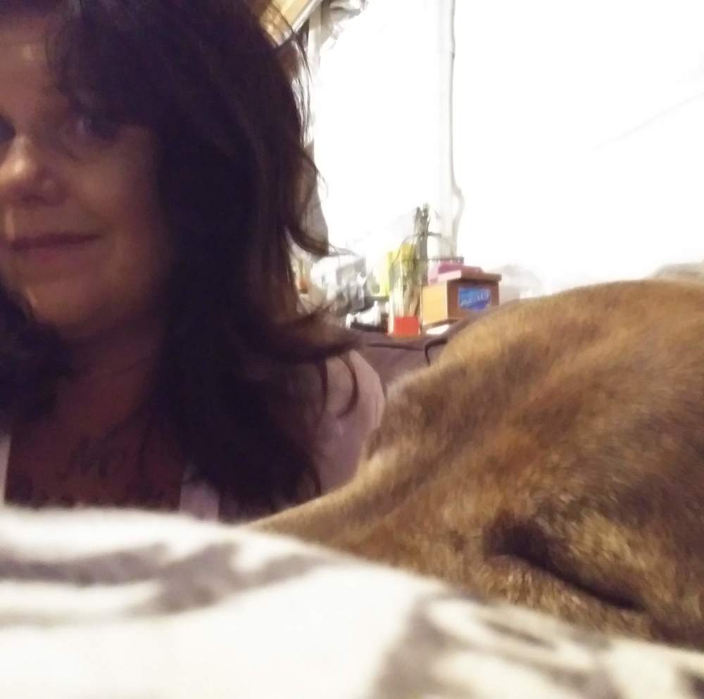 Meet your Posher, Pam